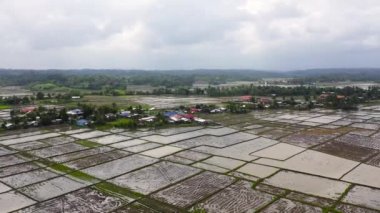 Filipin köyü ve pirinç tarlaları suyla doldu..