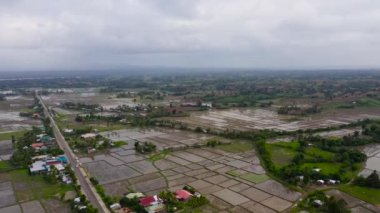 Road along rice fields, top view. Agricultural fields on the island of Luzon.