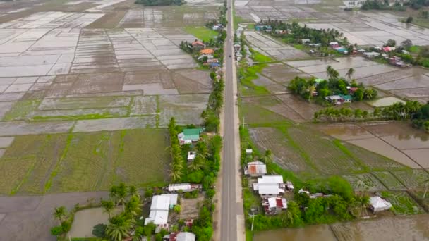Road along rice fields, top view. Agricultural fields on the island of Luzon. — Stockvideo