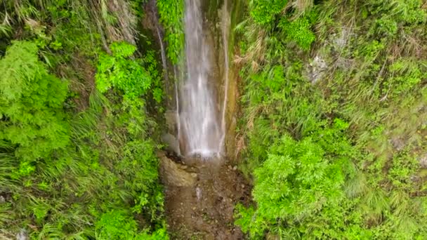 Een waterstroom van een klif in de jungle. Cascade Waterval op Luzon Island, Filipijnen. — Stockvideo