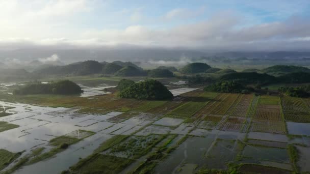 Landscape with farmland and green hills, aerial view. — 비디오