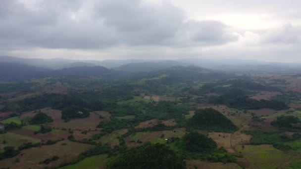 Valle tropical verde vibrante con campo de arroz y tierras de cultivo. — Vídeo de stock