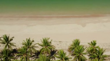 Beyaz kumlu tropik sahil, yukarıdan manzaralı..