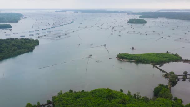 Granja de peces con jaulas para peces y camarones en Filipinas, Luzón. Vista aérea de estanques de peces para bangus, milkfish. — Vídeos de Stock