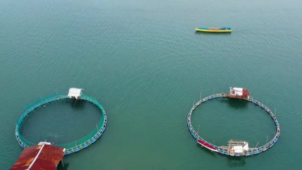 Vista aérea de estanques de peces para bangus, milkfish. — Vídeo de stock