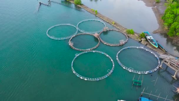 Fisheries on Luzon Island, Philippines. Fish farm, top view. — Stock Video
