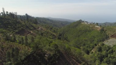 Dağ manzarası tarım arazileri ve Endonezya Bali köyü.