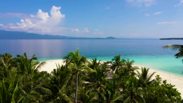 夏のビーチの風景。熱帯の島の景色、素晴らしい青い海とヤシの木。フィリピンのディギョ島. — ストック動画