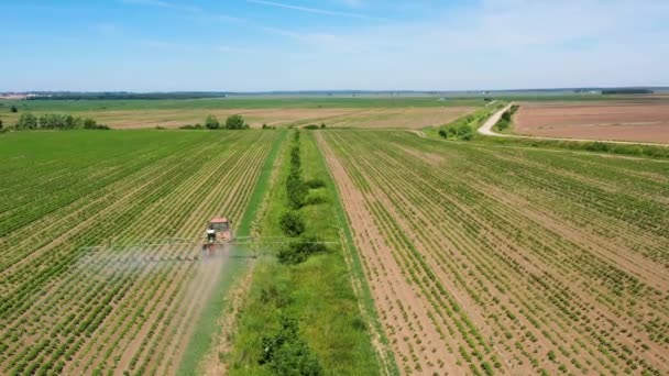 散布機で野菜畑に農薬を散布するトラクター — ストック動画