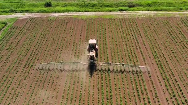 Трактор розпилення пестицидів на рослинному полі з розпилювачем — стокове відео