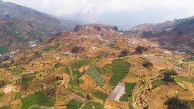 Dağlarda tarım arazileri olan tropikal manzaralar