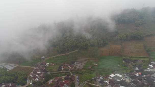 Berglandschap landbouwgronden en dorp Java Indonesia — Stockvideo