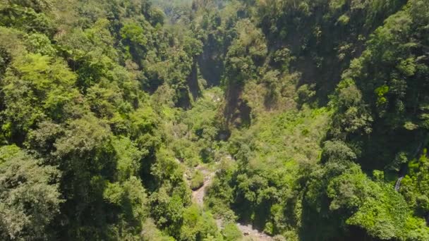 Tropiskt landskap regnskog och vattenfall — Stockvideo