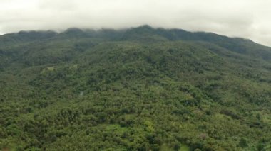 Dağlarla kaplı yağmur ormanları, Filipinler, Camiguin.