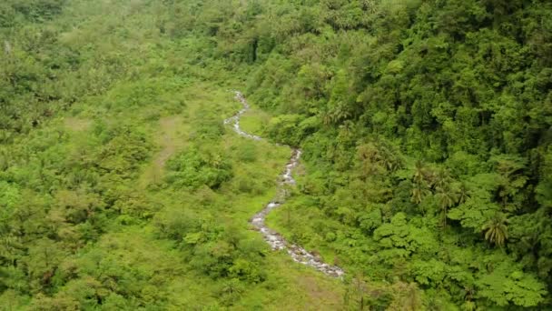 Rivier stroomt in de bergjungle, Filippijnen, Camiguin. — Stockvideo