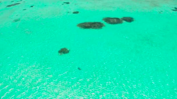 Air laut biru transparan di laguna. — Stok Video