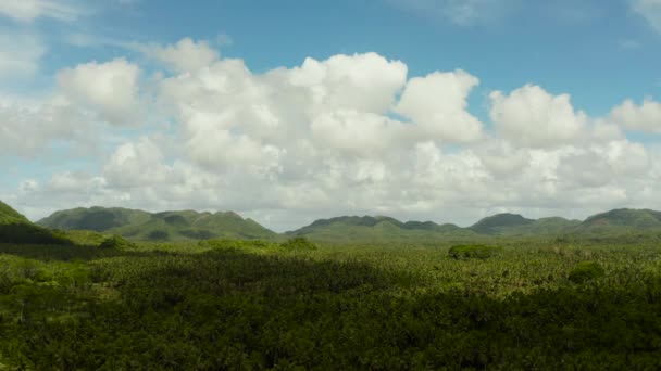 Siargao Insel mit Hügeln und Bergen, Philippinen. — Stockvideo