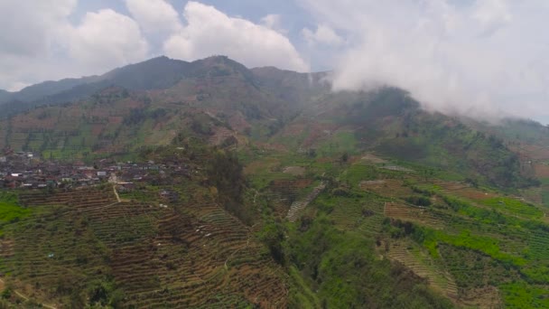 Paisaje tropical con tierras de cultivo en las montañas — Vídeo de stock