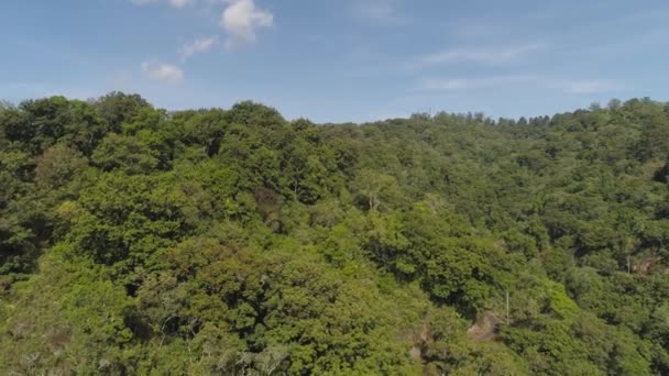 Paesaggio tropicale foresta pluviale e montagne — Video Stock