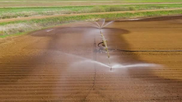 Sistema de riego en tierras agrícolas. — Vídeo de stock