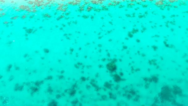透明ターコイズブルーの海の水、自然の背景. — ストック動画
