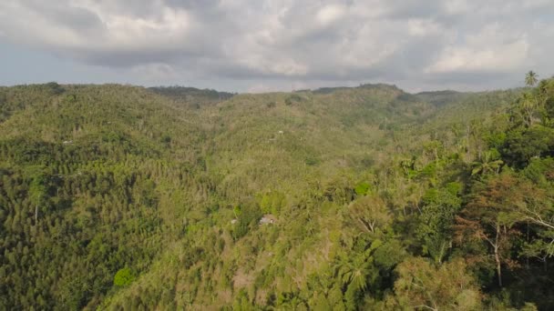 Τροπικό τοπίο τροπικό δάσος και βουνά — Αρχείο Βίντεο