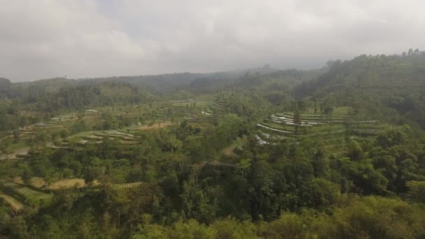 山の中に農地がある熱帯の風景 — ストック動画