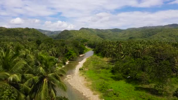 热带岛屿上的山区河流，俯瞰全景. — 图库视频影像