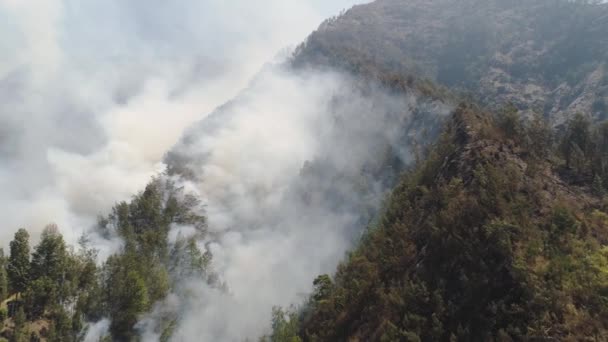 Fogo florestal nas montanhas — Vídeo de Stock