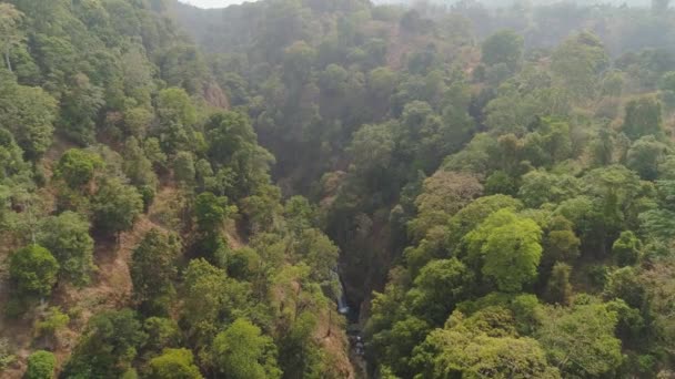 Paisaje tropical selva tropical y montañas — Vídeo de stock