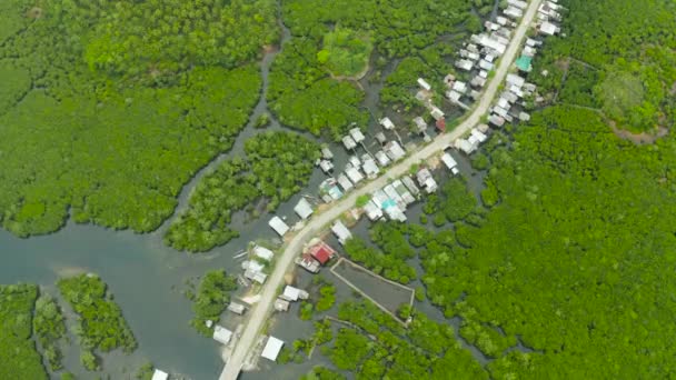Pemandangan udara kota ada di hutan bakau. Siargao, Filipina. — Stok Video