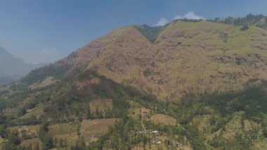 Dağ manzarası tarım arazileri ve köy