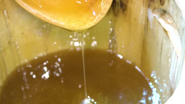 Honig tropft in einem Eimer. — Stockvideo