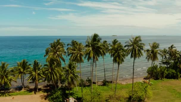 Tropikalny krajobraz, pola ryżowe i morze Camiguin, Filipiny — Wideo stockowe