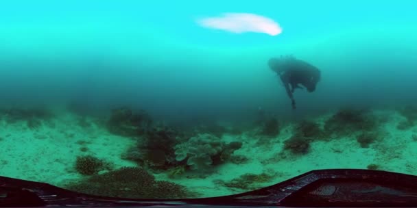 Koraalrif met vis onder water 360VR. Leyte, Filipijnen. — Stockvideo