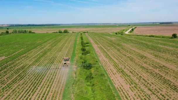 Traktor sprutning bekämpningsmedel på grönsak fält med spruta — Stockvideo