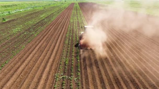 Patates tarlasında tarım makineleri toprağı işliyor. — Stok video