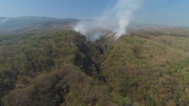 feu de forêt dans les montagnes