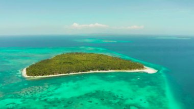 Kumlu bir tropik ada. Balabac, Palawan, Filipinler.