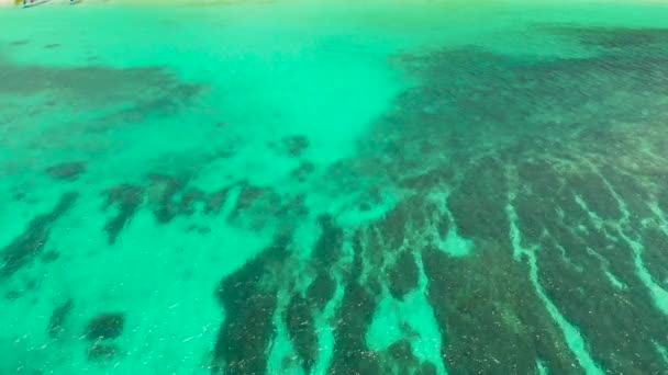 Paisagem tropical com mar azul e recife de coral — Vídeo de Stock