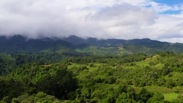 Horské vrcholy jsou pokryty deštným pralesem a mraky. — Stock video