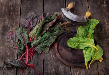 Taze organik Mangold