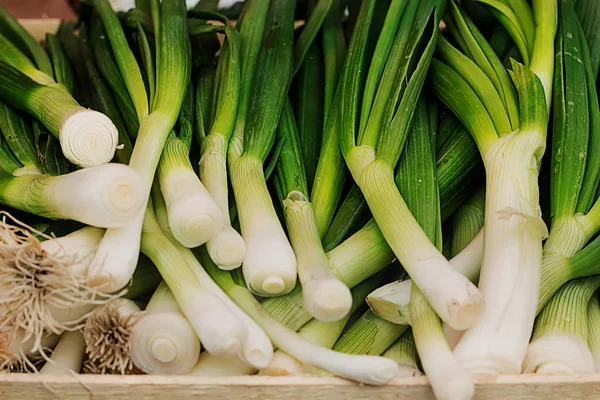 Soğan Farmer's Market üzerinde yeşil