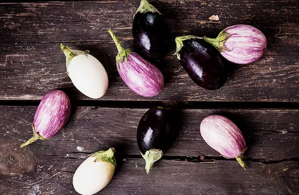 Tiny three color eggplants — Stock Photo, Image