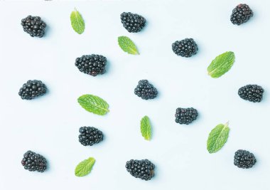 Meyve deseni. Böğürtlen. Nane yapraklı böğürtlenler gök mavisi bir arka planda izole edilmiş. Üst görünüm.