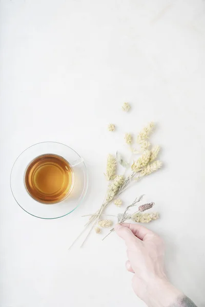 Male Hand Decorating Herbal Tea Dried Greec Mountain Tea Lavender — Stock Photo, Image