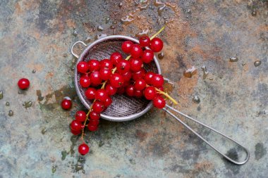 Metal süzgeçte, ıslak kırsal metal arka planda taze üzümlü üzümler var. Üst görünüm