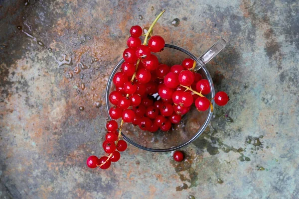 Bunch Fresh Red Currant Berries Transparent Glass Cup Rustic Metal — Stock Photo, Image