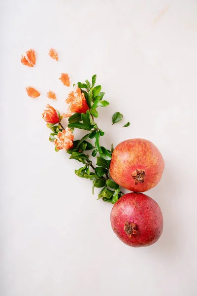 Φρούτα Ροδιού Διακοσμημένα Ανθισμένα Κλαδιά Ροδιού Και Πέταλα Πάνω Λευκό — Φωτογραφία Αρχείου