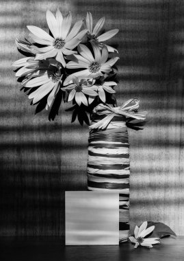  Siyah beyaz resim. Yumuşak odak fotoğraf, defter üzerinde ahşap f